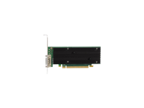 Nvs 290 2025