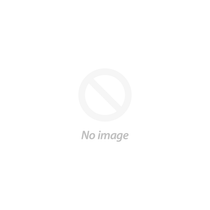 Dell H710P 1GB Mini Mono PERC (TTVVV)